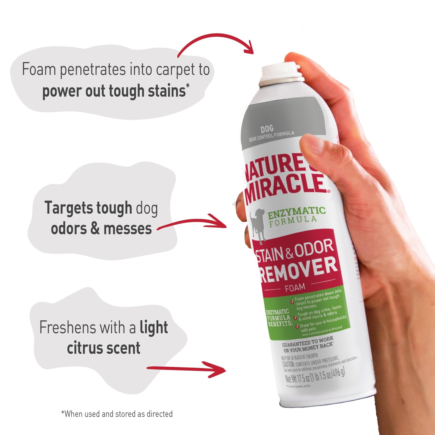 Nature's Miracle Stain & Odor Remover Foaming Aerosol For Dogs, 17.5 Oz (P-68340)