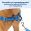 PetSafe Easy Walk Dog Harness - Stop Pulling & Teach Leash Manners - Ultimate No-Pull Control for Walks - Large, Black/Silver